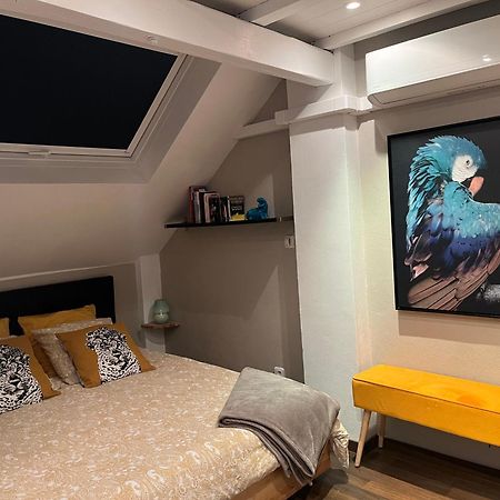 Charmant Duplex Privatise, Climatise, 2 Chambres 斯特拉斯堡 外观 照片