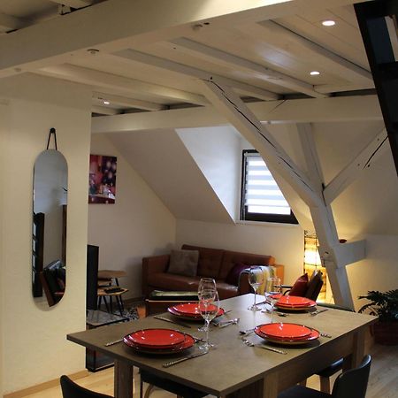 Charmant Duplex Privatise, Climatise, 2 Chambres 斯特拉斯堡 外观 照片