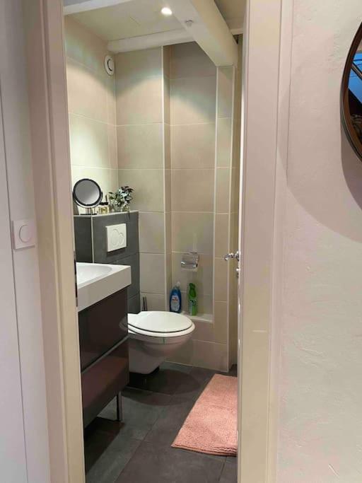Charmant Duplex Privatise, Climatise, 2 Chambres 斯特拉斯堡 外观 照片