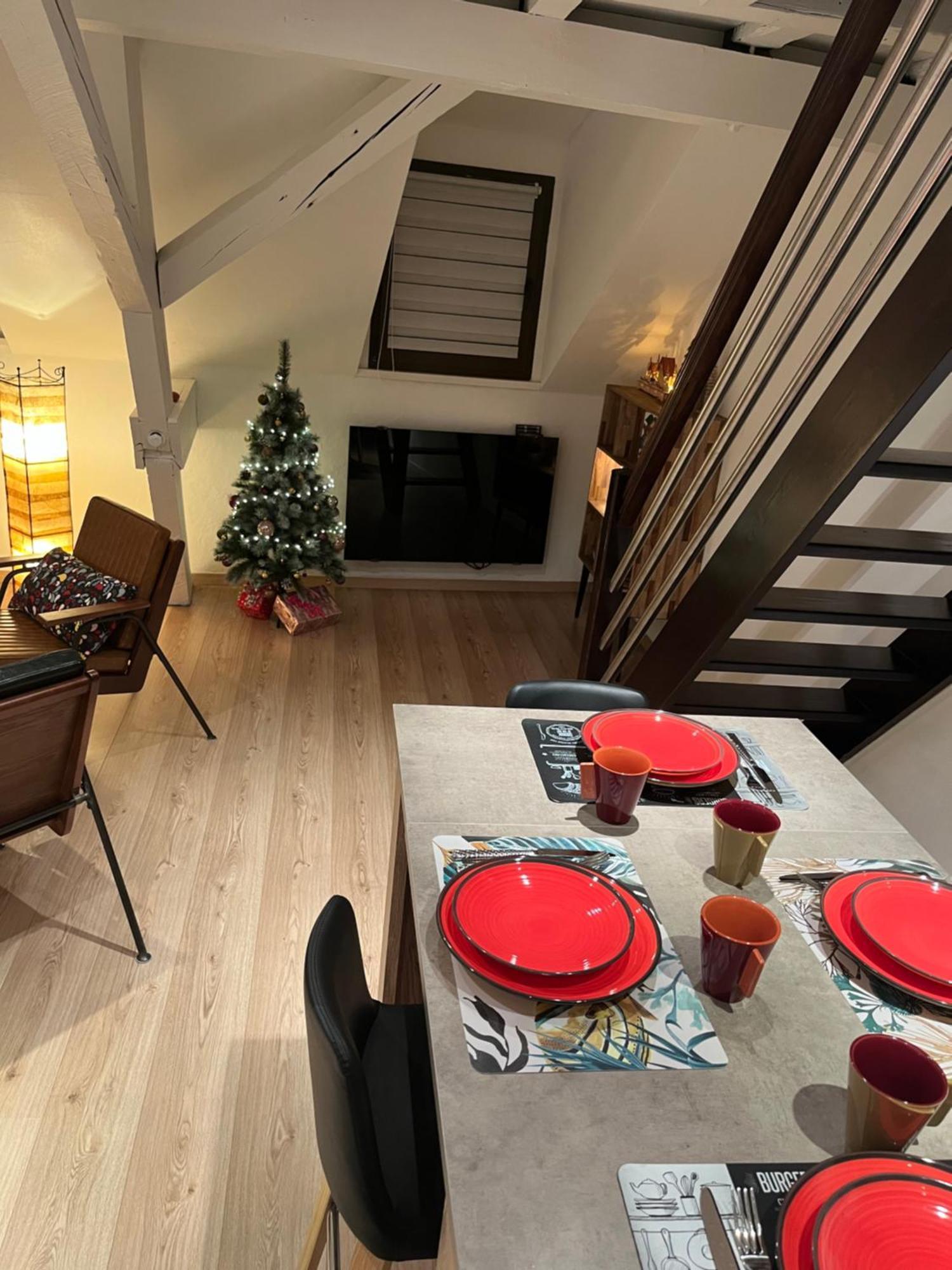 Charmant Duplex Privatise, Climatise, 2 Chambres 斯特拉斯堡 外观 照片