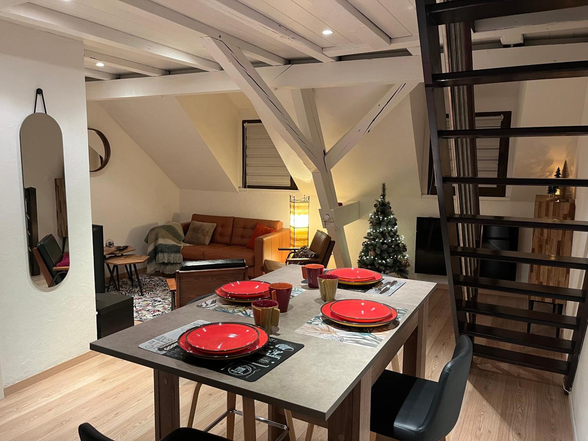 Charmant Duplex Privatise, Climatise, 2 Chambres 斯特拉斯堡 外观 照片