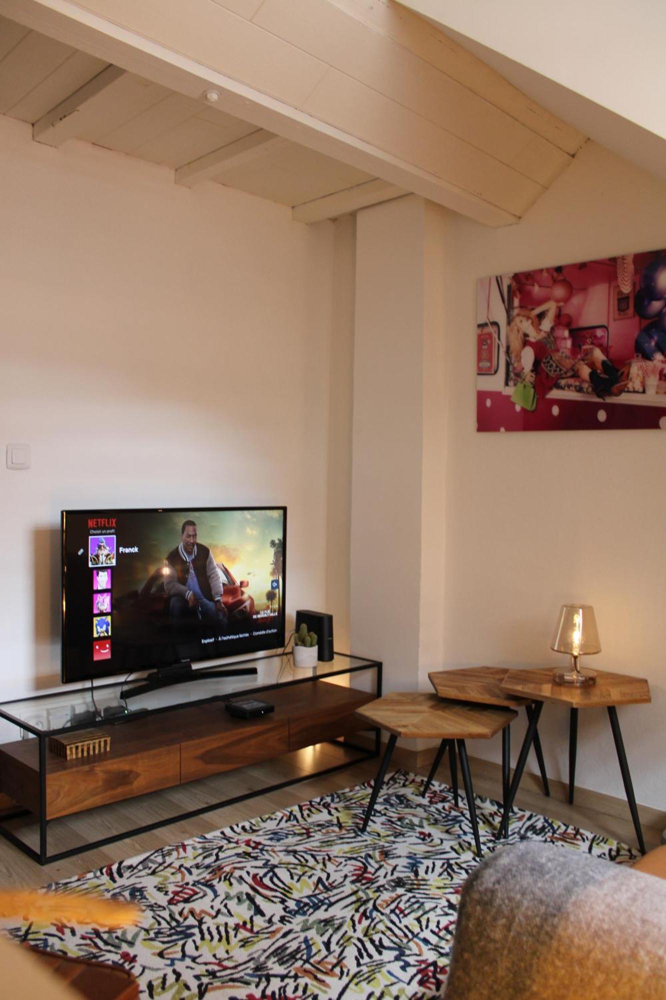 Charmant Duplex Privatise, Climatise, 2 Chambres 斯特拉斯堡 外观 照片