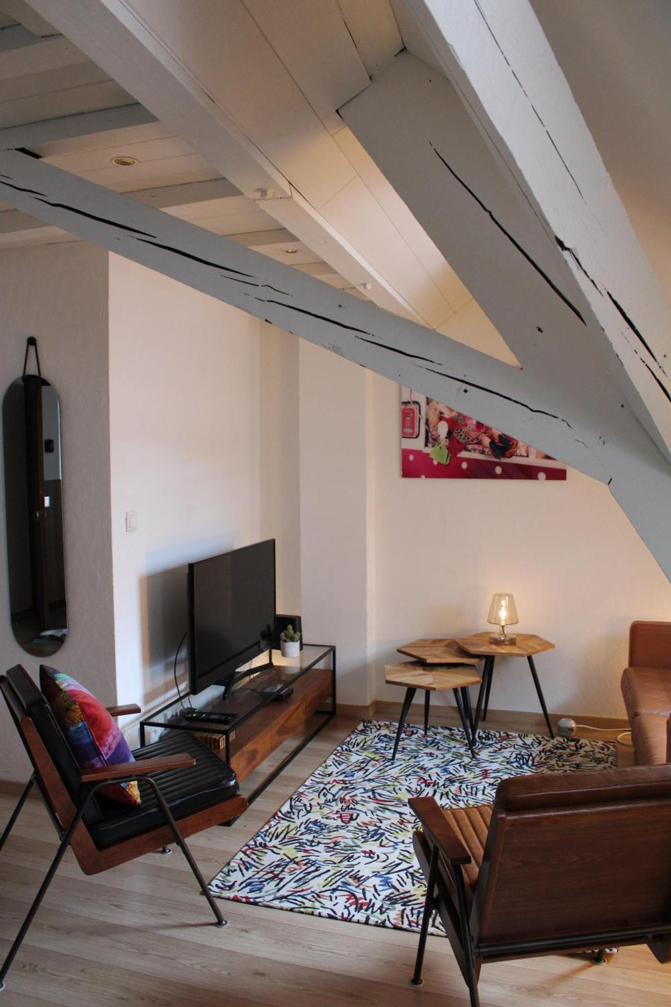 Charmant Duplex Privatise, Climatise, 2 Chambres 斯特拉斯堡 外观 照片