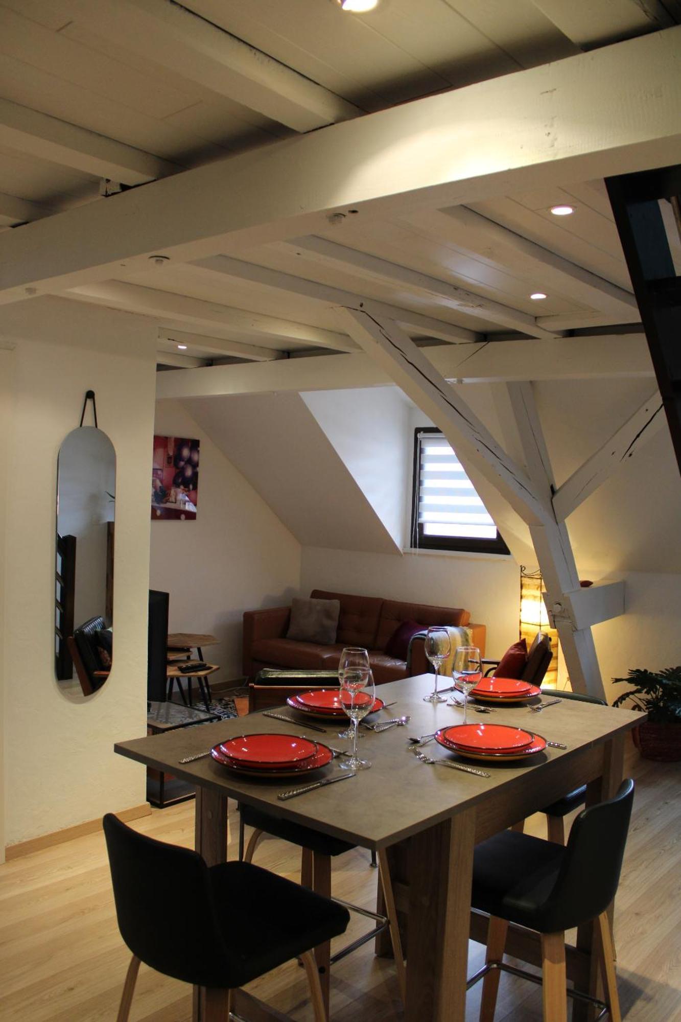 Charmant Duplex Privatise, Climatise, 2 Chambres 斯特拉斯堡 外观 照片